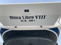 ALMA LIBRE VIII